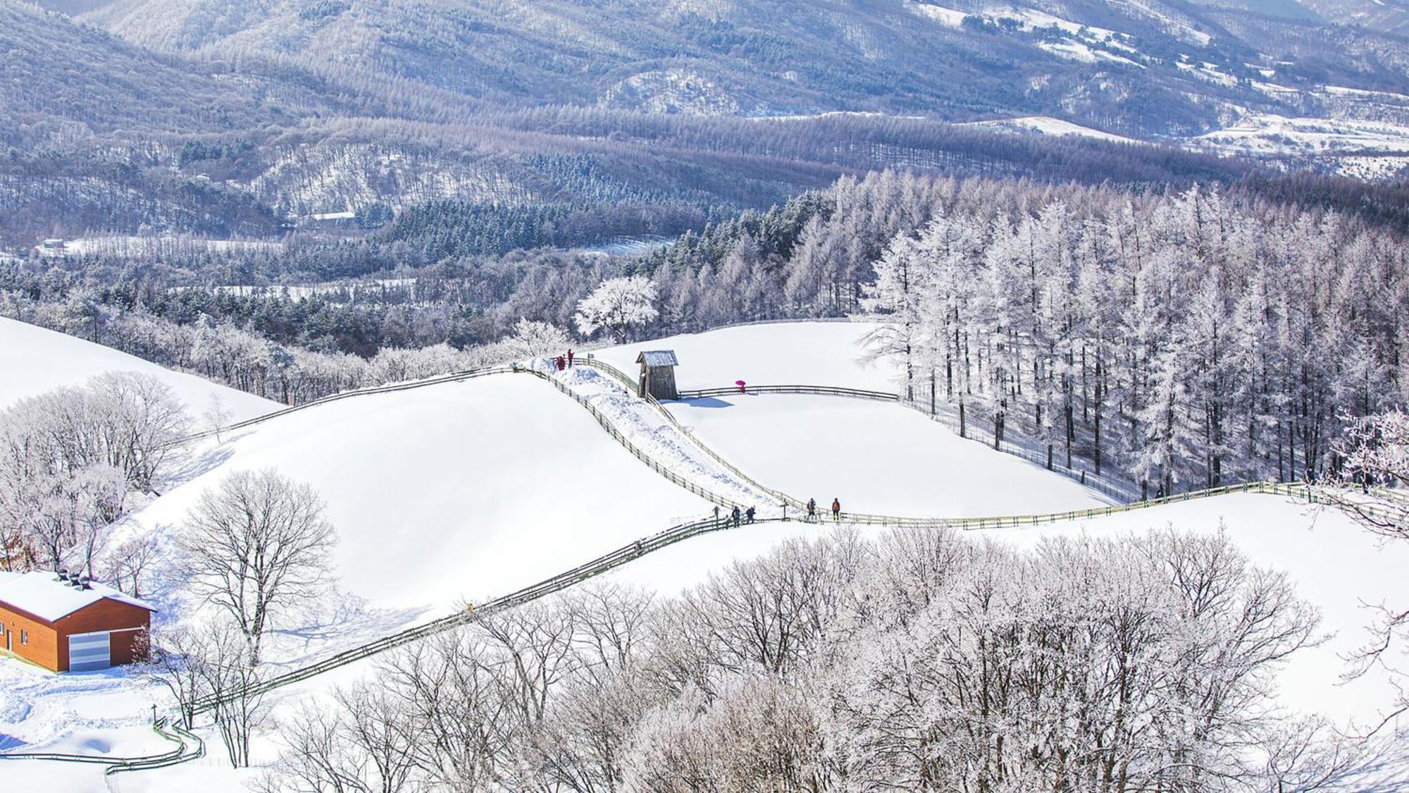 Holiday Inn Resort Alpensia Pyeongchang By Ihg Exteriér fotografie